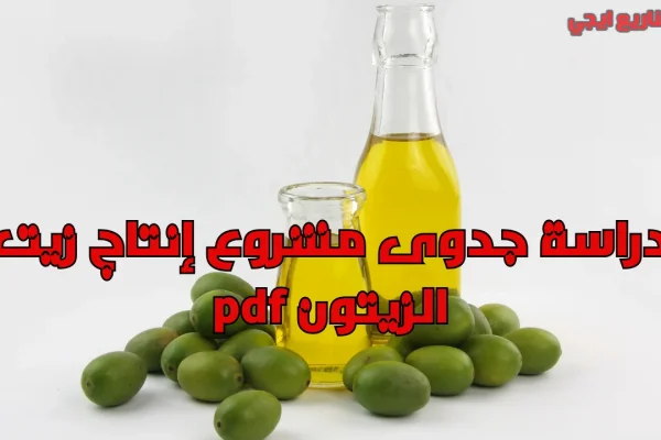 Olive oil - tetastory.com