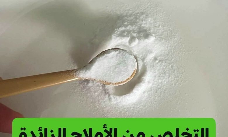 مدونة حكايات تيتا | كيف تزيلون وبسرعة اليوريك أسيد (الأملاح) من أجسامكم لمنع آلام والتهابات المفاصل والنقرس