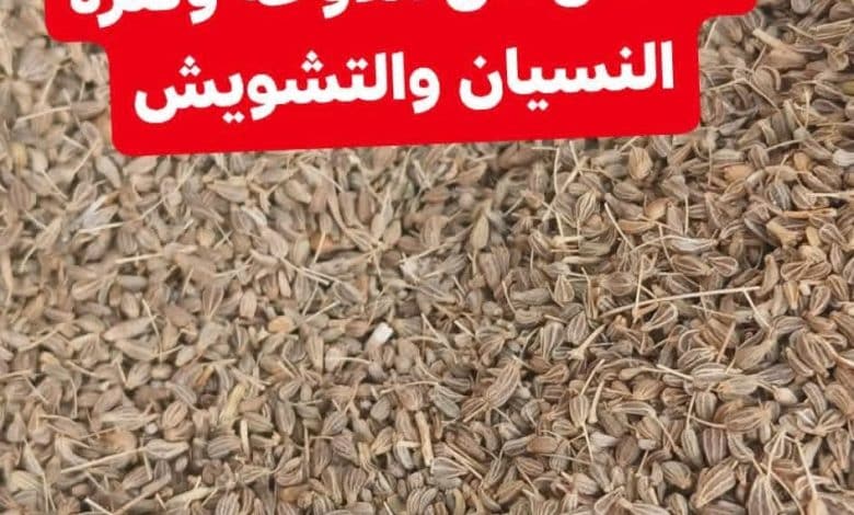 مدونة حكايات تيتا | نقص فيتامين B12: الأعراض، الأسباب والعلاج مدونة حكايات تيتا | نقص فيتامين B12: الأعراض، الأسباب والعلاج